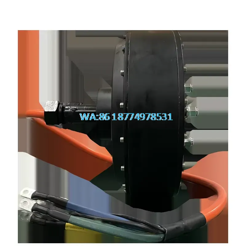 Motor de cubo de eje único Wmw - Qs Motor 273 8000W Hub Motor reseña y precio
