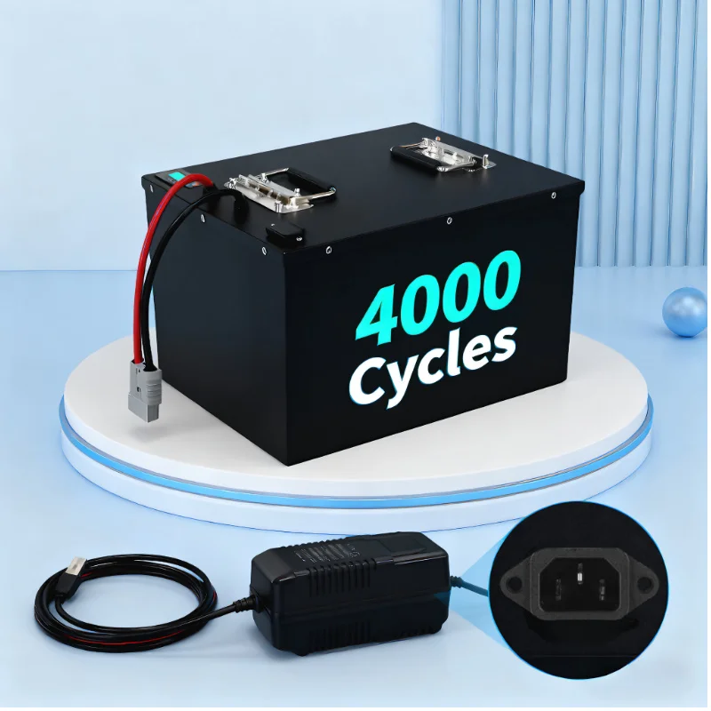 Paquete de batería LIFEPO4 con - Lifepo4 72V 100Ah Battery Pack Ev reseña y precio